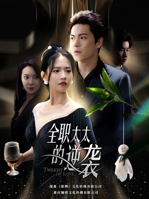 全职太太的逆袭（80集）短剧上热门