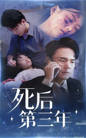 死后第三年（30集）最火短剧推荐