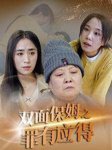 双面保姆之罪有应得（17集）在线观看完整版