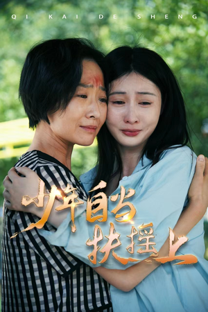 少年自当扶摇上（30集）全集完整版