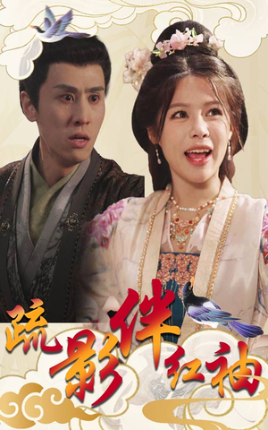 疏影伴红袖（40集）无需充值尽情看