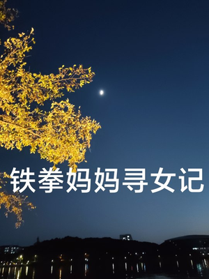 铁拳妈妈寻女记（69集）在哪里可以全集