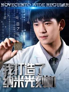 我打造了纳米光刻机（76集）短剧小说在线看