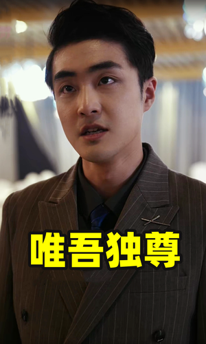 唯吾独尊（96集）怎么看全集