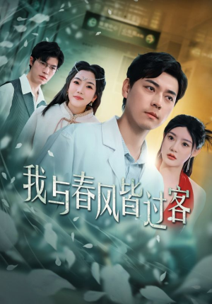 我与春风皆过客（35集）热门短剧免费看