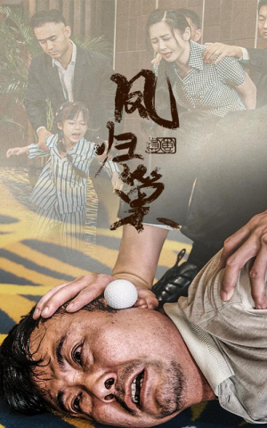 新版：凤归巢（68集）常回家看看短剧