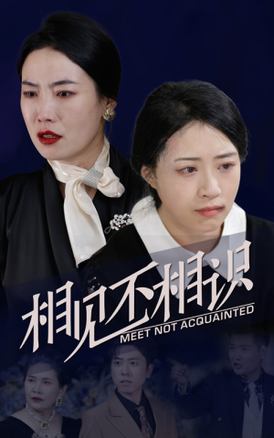 相见不相识（34集）免费在线看