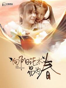 向阳花木易为春（101集）每天短剧分享
