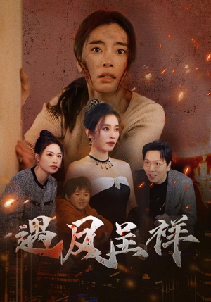 遇凤呈祥（50集）怎么看全集