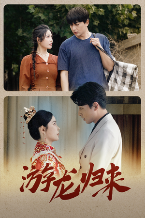 游龙归来（67集）全集免费