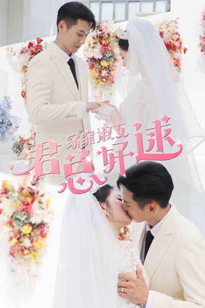 窈窕淑女，君总好逑（85集）追短剧看全集