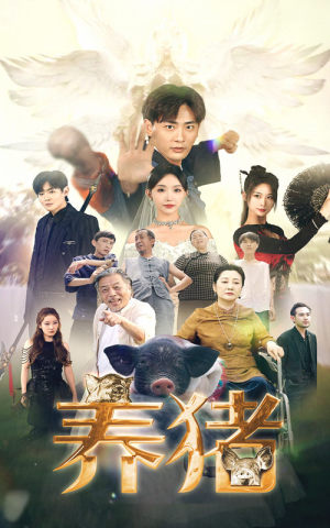 养猪（74集）精彩短剧下载