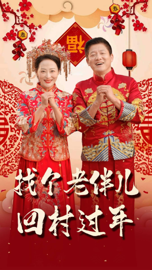 找个老伴儿回村过年（58集）网上可以看吗