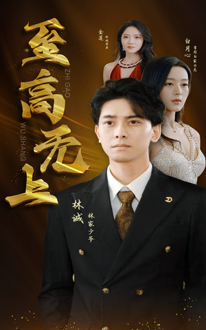 至高无上（30集）完整版