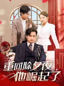 重回除夕夜他崛起了（89集）番茄短剧免费看