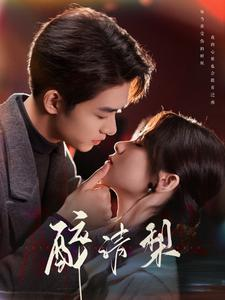 醉清梨（97集）好看短剧看不停