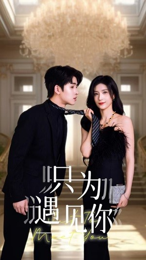 只为遇见你（88集）男主角是谁