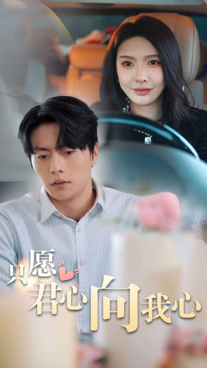 只愿君心向我心（31集）爆款短剧推荐
