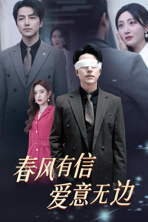 失明之后爱意尽毁（30集）短剧上头又好看