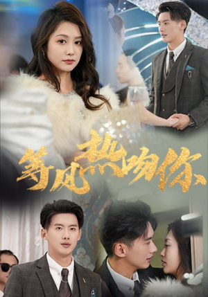 等风热吻你（31集）在线看完整版