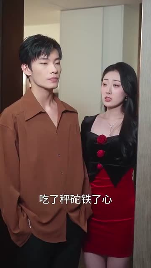 完美纠葛（68集）全季一次看完
