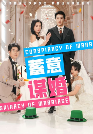 蓄意谋婚（30集）热门火爆短剧