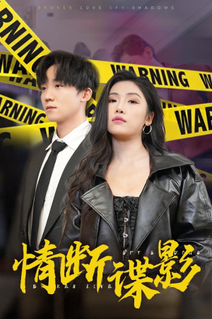 我的特工老婆（30集） 民国短剧推荐