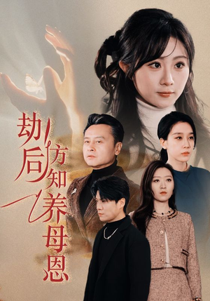 春风拂旧怨（45集） 视频在线看