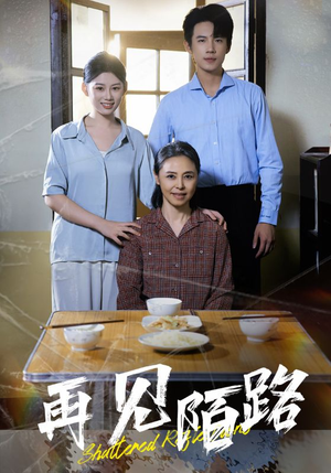 再见陌路（39集） 超火热门短剧