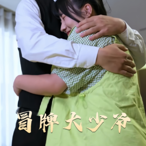 冒牌大少爷（81集） 免费短剧大全