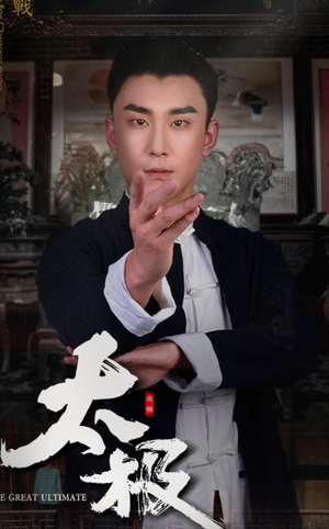 19197-太极（62集） 在线观看