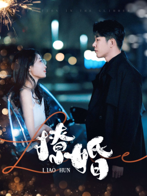 撩婚（90集） 热门火爆短剧