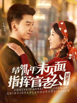 结婚四年未见面，指挥官老公回来了（100集） 热播短剧排行榜