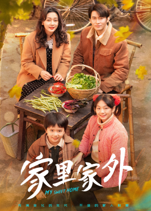 家里家外（79集） 短剧全集免费