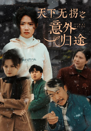 天下无拐之意外归途（61集） 抢先看热门短剧