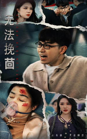无法挽回（56集） 海量短剧免费看