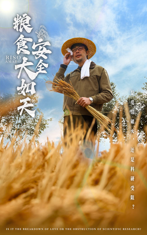 粮食安全大如天（43集） 短剧每日分享