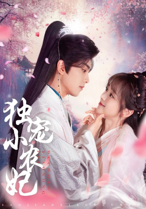 独宠小农妃（63集） 全集一网打尽