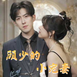 顾少的小宠妻（90集）追短剧太上头了