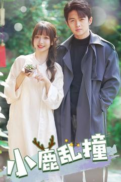 小鹿乱撞（40集） 全集都在这里了