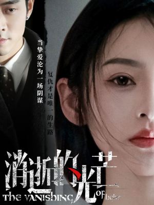 消逝的光芒（55集） 经典回顾免费看