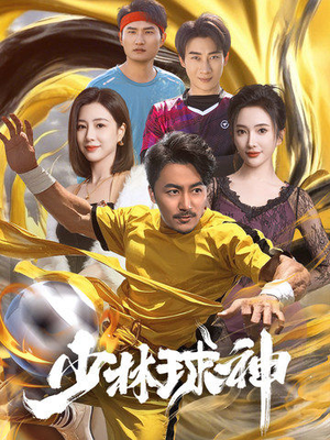 少林球神（46集） 全集