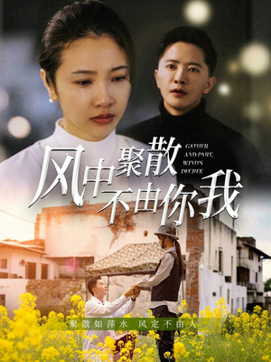 风中聚散不由你我（41集） 追风的女孩短剧