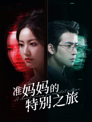 准妈妈的特别之旅（80集）网盘在线观看