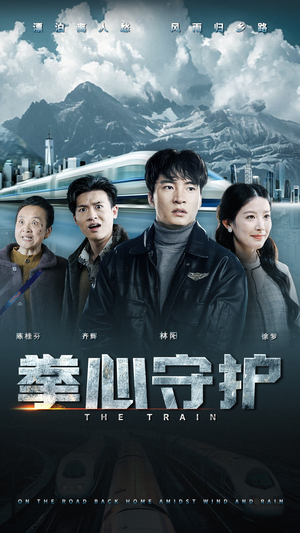 拳心守护（28集） 短剧热门合集