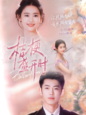她的小桔梗（92集）全集