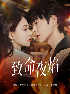 致命夜焰（80集） 短剧精彩绝伦