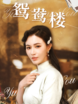 鸳鸯楼（60集） 精彩不断免费看