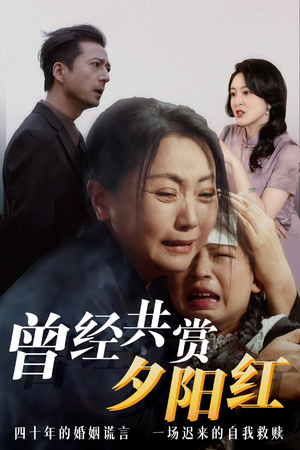 曾经共赏夕阳红 精彩的网络短剧