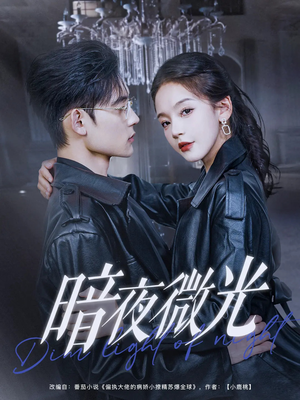 暗夜微光（86集）免费热门短剧